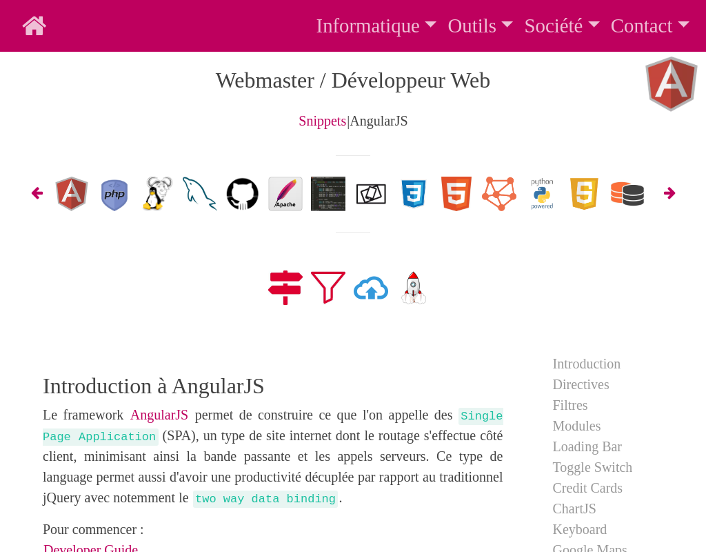 Webmaster / Développeur Web / AngularJS image.